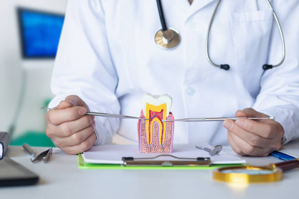 Best Chipped Tooth Repair Near Me  in Stony Prairie, OH